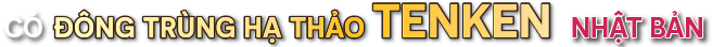 Đông Trùng Hạ Thảo Tenken Nhật Bản